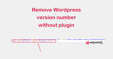 wpamit remove wordpress version number without plugin